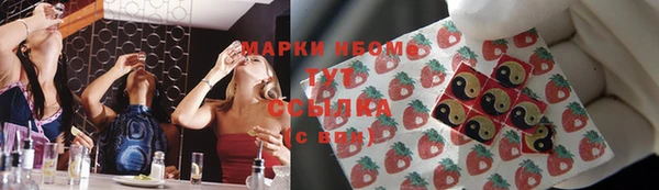 гидропоника Новокубанск