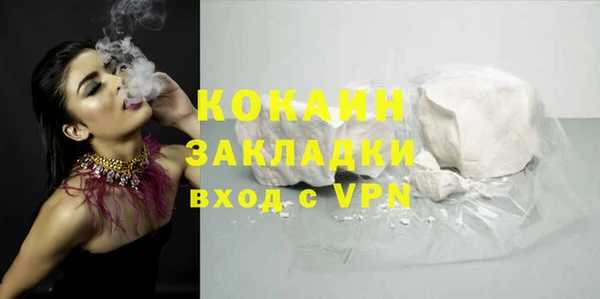 ГАЛЛЮЦИНОГЕННЫЕ ГРИБЫ Новозыбков
