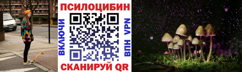 Псилоцибиновые грибы Cubensis  Яблоновский 
